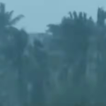 അൻമോൾ ബിഷ്ണോയിയെ കുറിച്ച് വിവരം നൽകുന്നവർക്ക് 10 ലക്ഷം രൂപ റിവാർഡ്:വലവിരിച്ച് എൻഐഎ