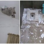 എ. എം. ആര്‍ ബോധവല്‍ക്കരണവും വിവിധ പരിപാടികളും നടത്തി