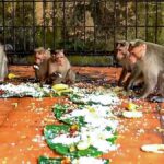 പതിനെട്ടാം പടിയില്‍ നിന്നുള്ള ഫോട്ടോഷൂട്ട്; 23 പോലീസുകാര്‍ക്ക് നല്ലനടപ്പിനുള്ള പരിശീലനം