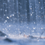 രണ്ടാം ഭാര്യയെ അമ്മയെന്ന് വിളിക്കാൻ വിസമ്മതിച്ച മകനെ കൊലപ്പെടുത്തി പിതാവ്; 49 ക്കാരൻ പിതാവിന് ജീവപരന്ത്യം തടവ് ശിക്ഷ