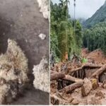 ഉരുൾപൊട്ടൽ ദുരിത ബാധിതർക്ക് പഴയ സാധനങ്ങൾ നൽകിയത് മേപ്പാടി പഞ്ചായത്താണ്,വിജിലൻസ് വിശദമായ പരിശോധന നടത്തും; മുഖ്യമന്ത്രി