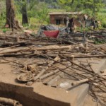 ഒരു മാസത്തോളം ഡിജിറ്റൽ അറസ്റ്റിൽ; മുംബൈയിൽ 77കാരിക്ക് നഷ്ടമായത് കോടികൾ