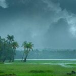 ചൂരല്‍മല-മുണ്ടക്കൈ പുനരധിവാസം; ‘100 വീടുകള്‍ വെച്ച് നല്‍കാമെന്ന് പറഞ്ഞിട്ടും മറുപടിയില്ല’; പിണറായി വിജയന് കത്തയച്ച് കര്‍ണാടക മുഖ്യമന്ത്രി