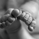 കലോത്സവത്തിലൂടെ സിനിമയിലെത്തിയ താരം വിദ്യാര്‍ത്ഥികളെ നൃത്തം പഠിപ്പിക്കാനായി ചോദിച്ചത് 5 ലക്ഷം; നടിക്ക് അഹങ്കാരം; മന്ത്രി ശിവന്‍കുട്ടി