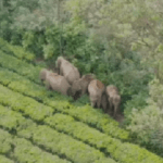 സംസ്ഥാന ദുരന്ത നിവാരണ അതോറിറ്റിയുമായി ബന്ധപ്പെട്ട കണക്കുകൾ; സംസ്ഥാന സർക്കാരിനെതിരെ ആഞ്ഞടിച്ച് ഹൈക്കോടതി