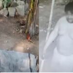 സംസ്ഥാന സ്‌കൂള്‍ കലോത്സവം ലോഗോ പ്രകാശനം ചെയ്തു