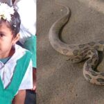 കൊച്ചിയില്‍ നടക്കുന്ന ഫ്‌ലവര്‍ ഷോയ്ക്ക് കോര്‍പ്പറേഷന്റെ സ്റ്റോപ്പ് മെമ്മോ