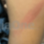 അപചയങ്ങള്‍ക്കുകാരണം മതങ്ങളിലെ ആത്മീയച്യുതി; ആത്മീയ നേതാക്കള്‍