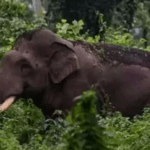 മദ്യപാനത്തിനിടെ തര്‍ക്കം; ഒരാള്‍ കൊല്ലപ്പെട്ടു