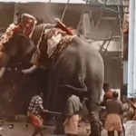 കെ കെ ശൈലജ ടീച്ചറുടെ വ്യാജ വീഡിയോ പ്രചരിപ്പിച്ച സംഭവം; മുസ്ലിം ലീഗ് നേതാവിന് 15000 രൂപ പിഴ