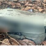 ഇടുക്കിയില്‍ 105 ഗ്രാം ഹാഷിഷ് ഓയിലുമായി ആലപ്പുഴ സ്വദേശി പിടിയില്‍