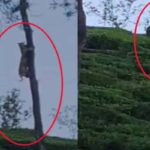 കേന്ദ്ര ധനമന്ത്രി നിര്‍മല സീതാരാമനുമായി മുഖ്യമന്ത്രി കൂടിക്കാഴ്ച നടത്തി