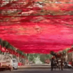 ഏറ്റുമാനൂര്‍ ആത്മഹത്യ; ഭര്‍ത്താവിന്റെ വീട്ടില്‍ ഷൈനി നേരിട്ടത് ക്രൂരപീഡനമെന്ന് കുടുംബം