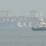 മാസപ്പടി കേസ്: എസ്എഫ്ഐഒ നടപടികള്‍ക്ക് സ്റ്റേയില്ല; ഹര്‍ജി ഡല്‍ഹി ഹൈക്കോടതി ചീഫ് ജസ്റ്റിസ് പരിഗണിക്കും