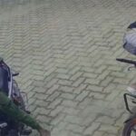 ബിജെപി നേതാവ് കെ കെ രാധാകൃഷ്ണന്റെ കൊലപാതകം; ഭാര്യ മിനി നമ്പ്യാര്‍ അറസ്റ്റില്‍