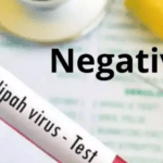 നിലമ്പൂരില്‍ വനത്തിനുള്ളില്‍ മൂന്ന് കാട്ടാനകളെ ചരിഞ്ഞ നിലയില്‍ കണ്ടെത്തി