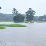 സംസ്ഥാനത്ത് സ്‌കൂളുകള്‍ ജൂണ്‍ രണ്ടിന് തന്നെ തുറക്കും; വി. ശിവന്‍കുട്ടി