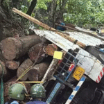 മലമ്പുഴ ഡാമില്‍ സഹോദരങ്ങള്‍ മുങ്ങി മരിച്ചു; മൃതദേഹം കണ്ടെത്തി