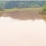 യുവതി വെട്ടേറ്റു മരിച്ച സംഭവം; മകൾക്കായി തിരച്ചിൽ ഊർജിതമാക്കി പോലീസ്