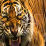 ഇ.കെ. നായനാര്‍ വിടപറഞ്ഞിട്ട് 21വര്‍ഷം; നായനാരെ അനുസ്മരിച്ച് നാട്