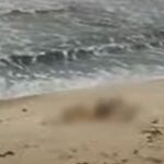യുദ്ധ വ്യാപനത്തിനെതിരെ മാനവസമൂഹം ഒന്നിക്കണം; കാന്തപുരം എ പി അബൂബക്കർ മുസ്‌ലിയാർ