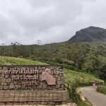 അച്ഛനില്ലാത്ത ആദ്യ തെരഞ്ഞെടുപ്പ്; വി വി പ്രകാശിന്റെ ചിത്രം പങ്കുവെച്ച് മകൾ നന്ദന