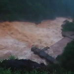 തൊടുപുഴയിലെ വിദ്വേഷ പ്രസംഗം; പി സി ജോർജിനെതിരെ കേസ്