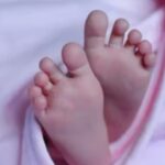 ഗസയിൽ നിന്നും ഒഴിയാൻ ആഗ്രഹിക്കുന്ന ഫലസ്തീനികൾക്ക് അവസരമുണ്ട് ; ഡോണൾഡ് ട്രംപിനെ നൊബേൽ സമ്മാനത്തിന് നാമനിർദ്ദേശം ചെയ്ത് ഇസ്രയേൽ