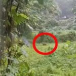 സ്വകര്യ ബസ് ഉടമകള്‍ സമരത്തിലേക്ക്: 22 മുതല്‍ അനിശ്ചിതകാല സമരം