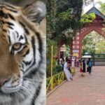 കണ്ണൂര്‍ സെന്‍ട്രല്‍ ജയില്‍ ഭരിക്കുന്നത് മാര്‍ക്സിസ്റ്റ് ക്രിമിനലുകളും സിപിഎമ്മിന്റെ ഫ്രാക്ഷനും ചേര്‍ന്ന്; എംഎം ഹസന്‍