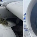 പന്തീര്‍പാടത്ത് അയല്‍പക്ക കൂട്ടായ്മ രൂപീകരണം; ജനറല്‍ ബോഡി യോഗം നടത്തി