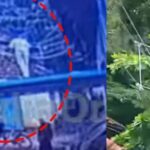 എരഞ്ഞിപാലത്തില്‍ നിന്ന് 18 കിലോ കഞ്ചാവുമായി രണ്ട് പേര്‍ അറസ്റ്റില്‍