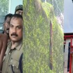 സെല്ലിന്റെ കമ്പികൾ നേരത്തെ മുറിച്ച് തുടങ്ങി, ജയിൽ അധികൃതർക്ക് മനസിലാകാതിരിക്കാൻ കമ്പിയിൽ നൂൽ കെട്ടിവെച്ചു; ഗോവിന്ദച്ചാമി ജയില്‍ ചാടാന്‍ നടത്തിയത് മാസങ്ങൾ നീണ്ട ആസൂത്രണം