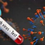 ബിന്ദുവിന്റെ വീട് സന്ദര്‍ശിച്ച് മന്ത്രി വീണാ ജോര്‍ജ്