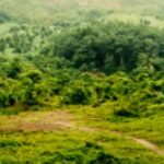 തിരഞ്ഞെടുപ്പ് ക്രമക്കേട് ആരോപണം; രാഹുല്‍ ഗാന്ധിക്ക് പിന്തുണയുമായി ശശി തരൂർ
