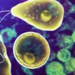 62,000 കോടി രൂപയുടെ കരാർ ; വ്യോമസേനയ്ക്കായി 97 തേജസ് വിമാനങ്ങള്‍ വാങ്ങുന്നു