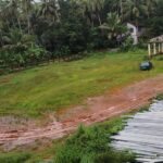 കുരിക്കത്തൂർ ഉള്ളാട്ടിൽ പത്മിനി നിര്യാതയായി