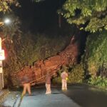 സംസ്ഥാനത്ത് സര്‍ക്കാര്‍ ഓഫീസുകളുടെ പ്രവൃത്തി ദിനം ആഴ്ചയില്‍ അഞ്ച് ദിവസമാക്കാന്‍ ആലോചന