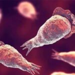 വോട്ടർ പട്ടിക ക്രമക്കേട്; മറുപടിക്ക് പകരം രാഷ്ട്രീയ പാർട്ടികളോട് ചോദ്യം ചോദിക്കുന്നു; തെരെഞ്ഞെടുപ്പ് കമ്മീഷന് മറുപടിയുമായി ഇന്ത്യ സഖ്യം