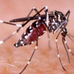 ആകെ 2668വരയാടുകള്‍ ; വരയാടുകളുടെ കണക്കെടുപ്പ് റിപ്പോര്‍ട്ട് പ്രകാശനം ചെയ്തു