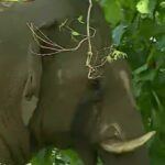 കോഴിക്കോട് ബാലുശ്ശേരിയില്‍ ടിപ്പര്‍ ലോറി ഇടിച്ച് രണ്ട് യുവാക്കള്‍ക്ക് ദാരുണാന്ത്യം