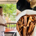 ജിമെയിൽ ഉപയോക്താക്കൾക്ക് അതീവജാഗ്രതാ നിർദേശവുമായി ഗൂഗിൾ