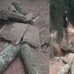 മരുന്നുകള്‍ തിങ്കളാഴ്ച മുതല്‍ കുറഞ്ഞ വിലയിൽ