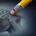 സ്‌കൂൾ ബസുകളിൽ അകത്തും പുറത്തും ക്യാമറ നിർബന്ധം, മന്ത്രി വി ശിവൻകുട്ടി