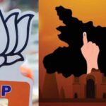 ഇലക്ട്രിക് വാഹനങ്ങൾക്കും ബാറ്ററിക്കും സബ്സിഡി; ഇന്ത്യയ്ക്കെതിരെ പരാതി നൽകി ചൈന