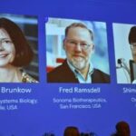 ബിഹാർ നിയമസഭാ തിരഞ്ഞെടുപ്പ് രണ്ട് ഘട്ടം; ആദ്യഘട്ട വോട്ടെടുപ്പ് നവംബർ ആറിന്, വോട്ടെണ്ണൽ‌ 14ന്