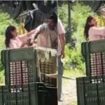 ജാഗ്രത വേണം, ശക്തമായ മഴ തുടരും; വിവിധ ജില്ലകളിൽ മുന്നറിയിപ്പ്