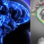 നെടുമങ്ങാട് ഓടിക്കൊണ്ടിരുന്ന കെ.എസ്.ആർ.ടി.സി ബസിന്റെ ടയർ ഊരിത്തെറിച്ച് ഓടയിൽ വീണു, വൻ ദുരന്തം ഒഴിവായ വൻ ദുരന്തം