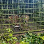 വാണിജ്യാവശ്യത്തിനുള്ള പാചകവാതക വിലയിൽ വർധന