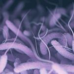 സ്കൂൾ കായികമേള സമാപനം;  തിരുവനന്തപുരം വിദ്യാഭ്യാസ ജില്ലയുടെ പരിധിയിലുള്ള സ്കൂളുകൾക്ക് അവധി